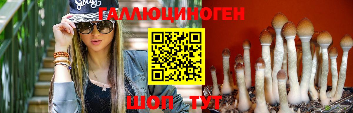 Галлюциногенные грибы Psilocybe  Псилоцибиновые грибы прущие грибы  Вход с VPN  Домодедово 
